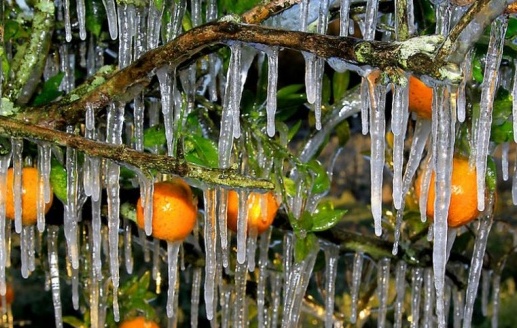 ​​ПРАЗДНИКИ 2 АПРЕЛЯ // День детской книги​ и День апельсиновых сосулек // АФИША ЕКАТЕРИНБУРГА