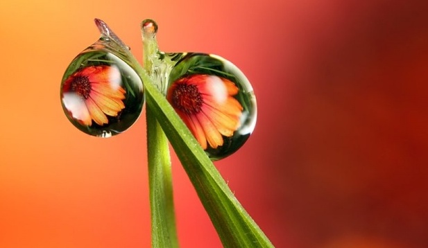 ОТМЕЧАЕМ 22 АПРЕЛЯ // Международный день Матери-Земли // АФИША ЕКАТЕРИНБУРГА