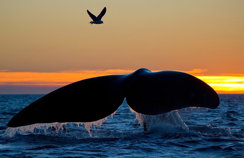 ЧТО ПРАЗДНУЕМ 19 ФЕВРАЛЯ // Афиша Екатеринбурга