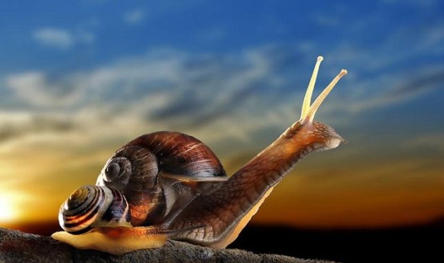 ПРАЗДНИКИ 26 ФЕВРАЛЯ // День неторопливости и Прощеное воскресенье // АФИША ЕКАТЕРИНБУРГА