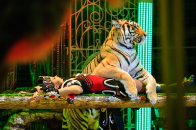 ​Легендарное шоу «Королевский цирк» //АФИША ЕКАТЕРИНБУРГА