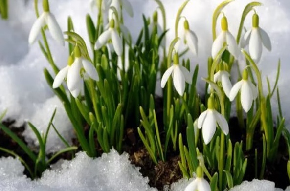 ​​ГЛАВНЫЙ ПРАЗДНИК ВЕСНЫ - 8 МАРТА // День весенних крыльев и Женский день // АФИША ЕКАТЕРИНБУРГ