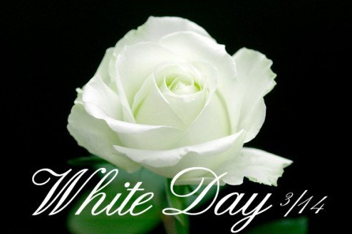 ЧТО ПРАЗДНОВАТЬ 14 МАРТА? Международный день числа «Пи» // АФИША ЕКАТЕРИНБУРГА